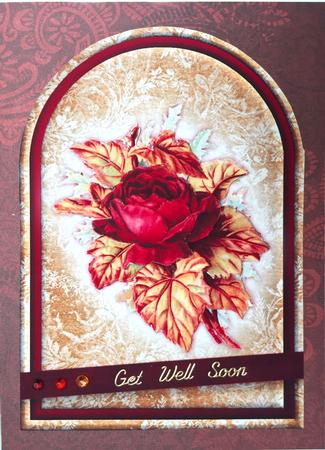 Antique Rose Rounded Quick Card by Elena Pavlova