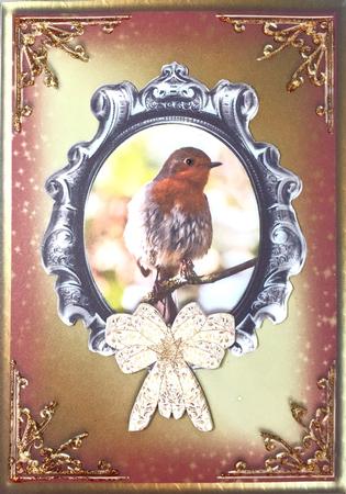 Robin Red Breast Card Front with Decoupage by Elena Pavlova