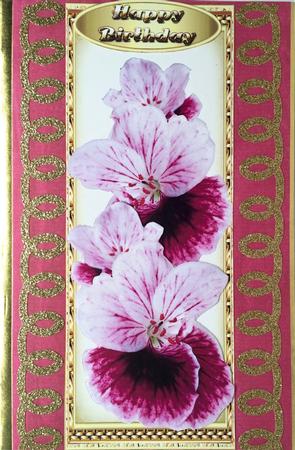 Beautiful Dl Floral Card by Elena Pavlova