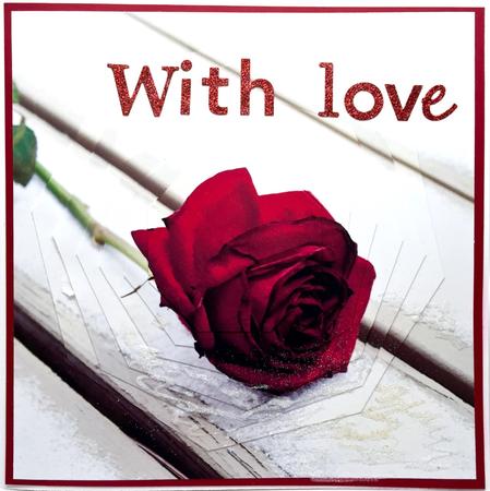 Winter Magic - Winter Red Rose Pyrimage with a Twist + Tag + by Elena Pavlova