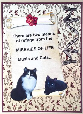 Cats14 by Elena Pavlova