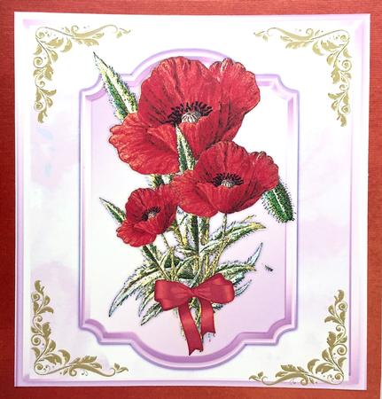 Stunning Poppies in a Bracket Frame  by Elena Pavlova