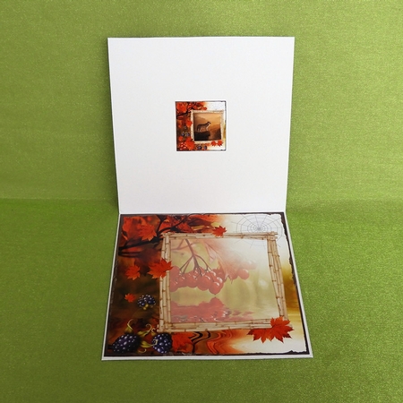 Dear Brother 2 by Elisabeth Le Clainche