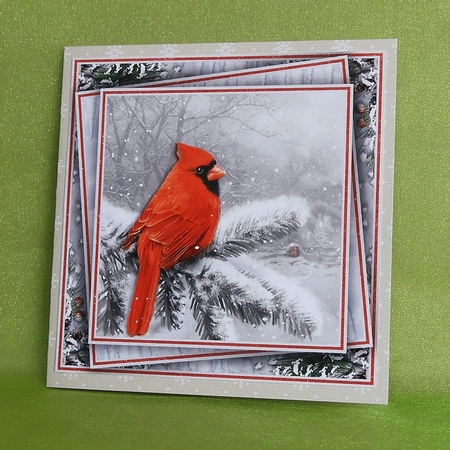 Winter Birds Collection 2  (NO Flowers) Mini Kit#1 by Elisabeth Le Clainche