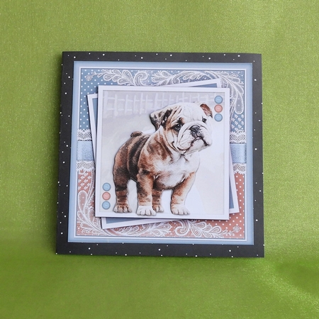 The Cute Bulldog KIT THREE  by Elisabeth Le Clainche