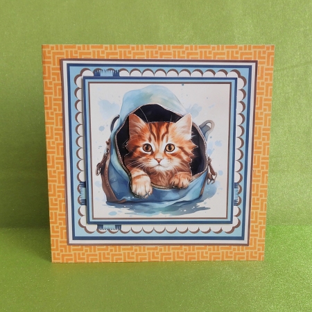 Kitten Blues by Elisabeth Le Clainche
