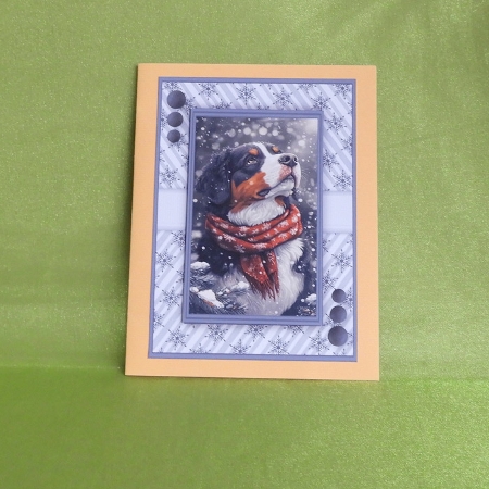Bernese Mountain Dog - Mini Kit by Elisabeth Le Clainche