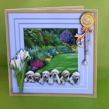 Stepping Out Year of the Dog F by Elisabeth Le Clainche