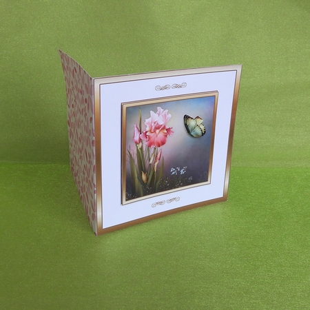SC Pink irises by Elisabeth Le Clainche