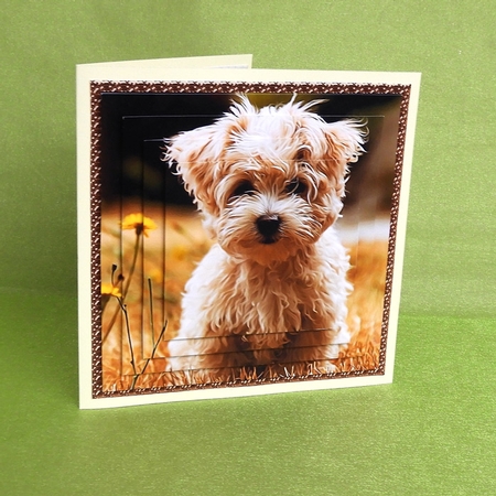 Maltese Puppy Square Layered Card Kit by Elisabeth Le Clainche