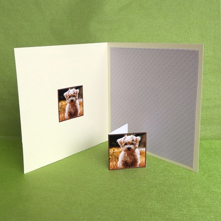 Maltese Puppy Square Layered Card Kit by Elisabeth Le Clainche
