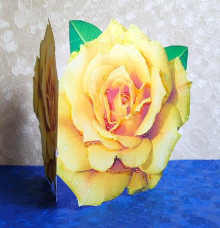 Yellow Cut and Fold Quick Card by Elisabeth Le Clainche