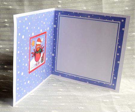 Xmas Robin Matching Insert Square Landscape by Elisabeth Le Clainche