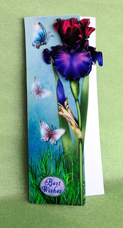 Iris Delight 2 by Elisabeth Le Clainche