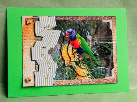 Lorikeets in the Bush by Elisabeth Le Clainche