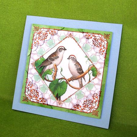 8x8 Vintage Painted Birds Card Front & Corner Stackers by Elisabeth Le Clainche