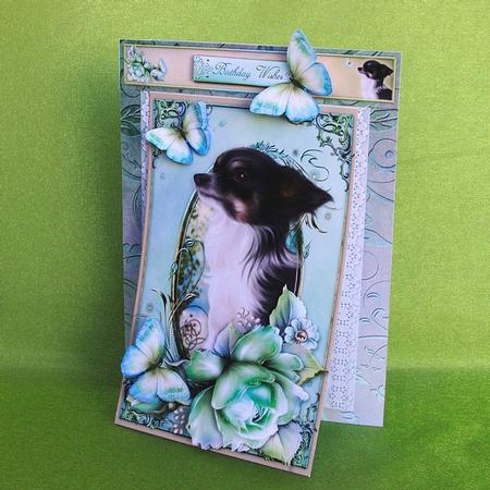 3 in 1 Paw Prints on Your Heart by Elisabeth Le Clainche