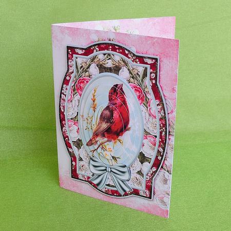 A Little Bird A5 Cardtopper with Inlet 153 by Elisabeth Le Clainche