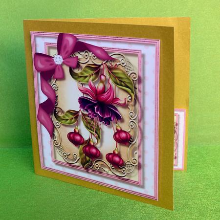 8x8 Lovely Fushiar Rae . by Elisabeth Le Clainche
