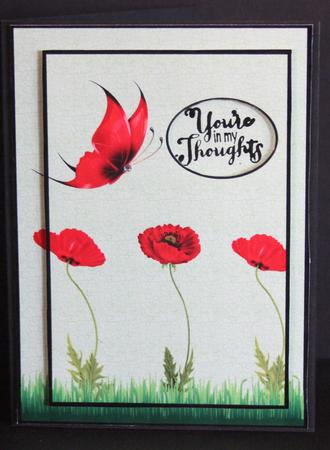Poppies and Butterflies by Elizabeth A Sanders