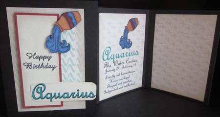 Aquarius Zodiac Card and Insert by Elizabeth A Sanders