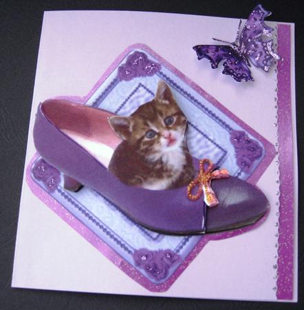 Cute Kitten in a Shoe by Elizabeth Boot
