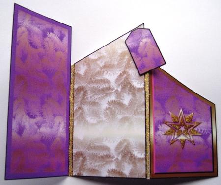 Christmas Star by Elizabeth Boot