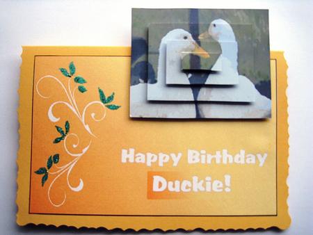 Happy Birthday Ducks Over the Edge Card by Elizabeth Boot