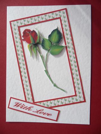 Red and Pink Rose Step by Step by Elizabeth Green