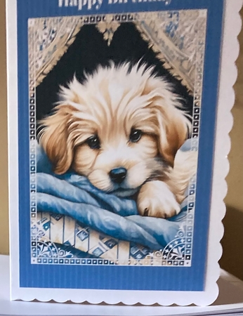 A5 Cute Puppy In Blue & White Frame by Lizzie Hartwell