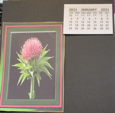 Tartan Thistles 2 Card Sheet Step by Step and Pyramid by Lizzie Hartwell