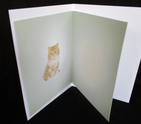 Cute Kitten Insert by Lizzie Hartwell