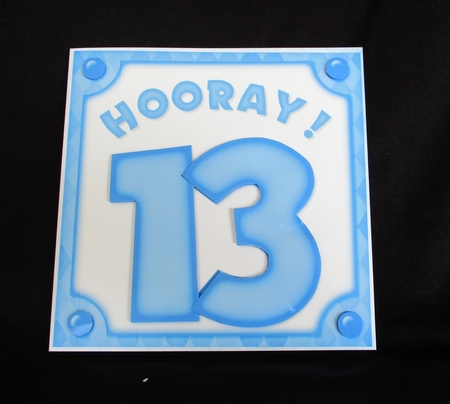 Hooray! Thirteen by Lizzie Hartwell