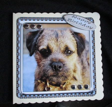  JJ LOVE MY DOG BORDER TERRIER 8X8 by Lizzie Hartwell