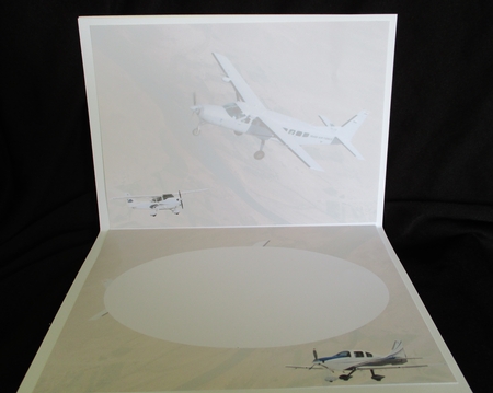 Insert for Cessna Aircraft Phone card cup848875_3656 by Lizzie Hartwell