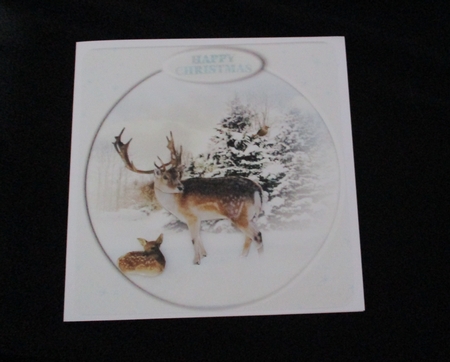 in the snow by Lizzie Hartwell