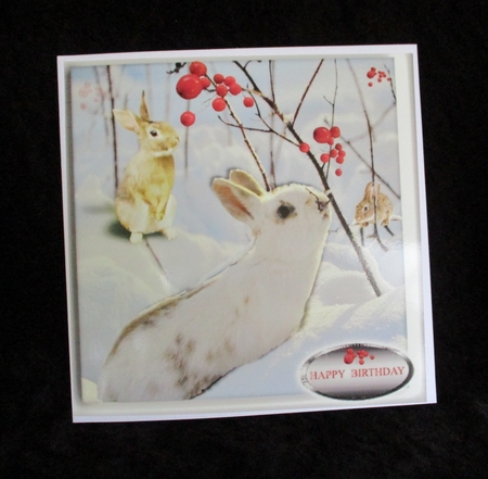bunnie by Lizzie Hartwell