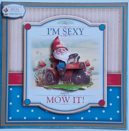 The Garden Gnome by Elizabeth Svonja