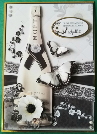 Drink Champagne Responsibly...Don`t Spill it! by Elizabeth Svonja