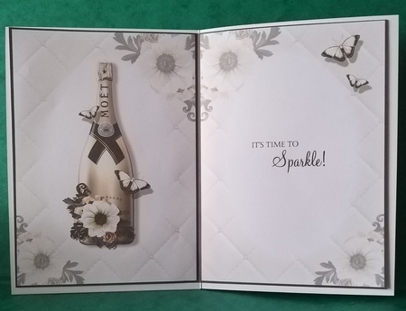 Drink Champagne Responsibly...Don`t Spill it! by Elizabeth Svonja