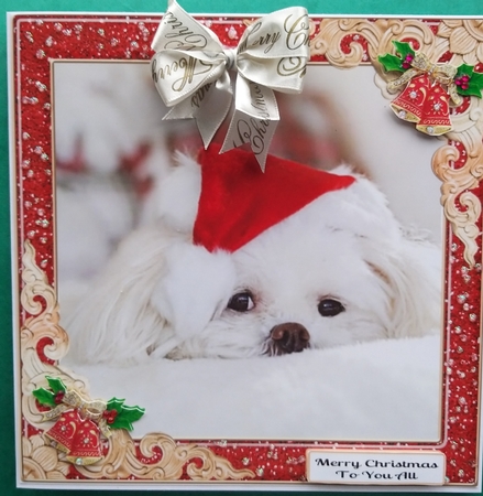 GLITZY CHRISTMAS MULTI SENTIMENTS 10 by Elizabeth Svonja