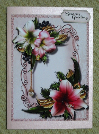 Beautiful Soft Pink Amaryllis and Berrys  by Ellen Morgan
