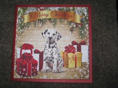 DALMATIAN PUPPY  by Ellen Morgan