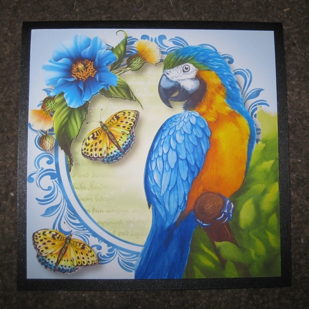 Watercolour Wonder Animals Bumper Kit by Ellen Morgan