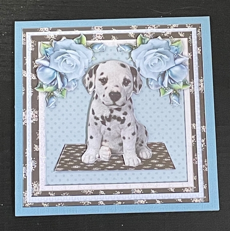 Cute Dalmation Puppy Mini Kit Featured Gallery Photo