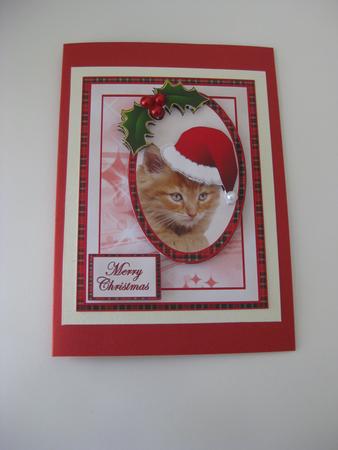 Christmas Kitty by Ellen Morgan