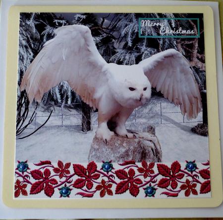 Christmas Birthday White Owl by Ellen Morgan