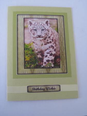 Young Wild Animal Series - Snow Leapord Cub - Decoupage by Ellen Morgan
