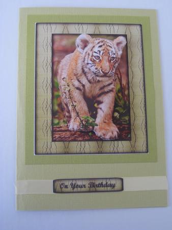 Young Wild Animals Series - Tiger Cub - Decoupage by Ellen Morgan