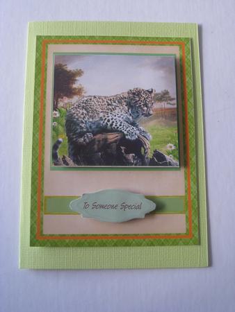 Beautiful Leopard Sitting on a Log  by Ellen Morgan